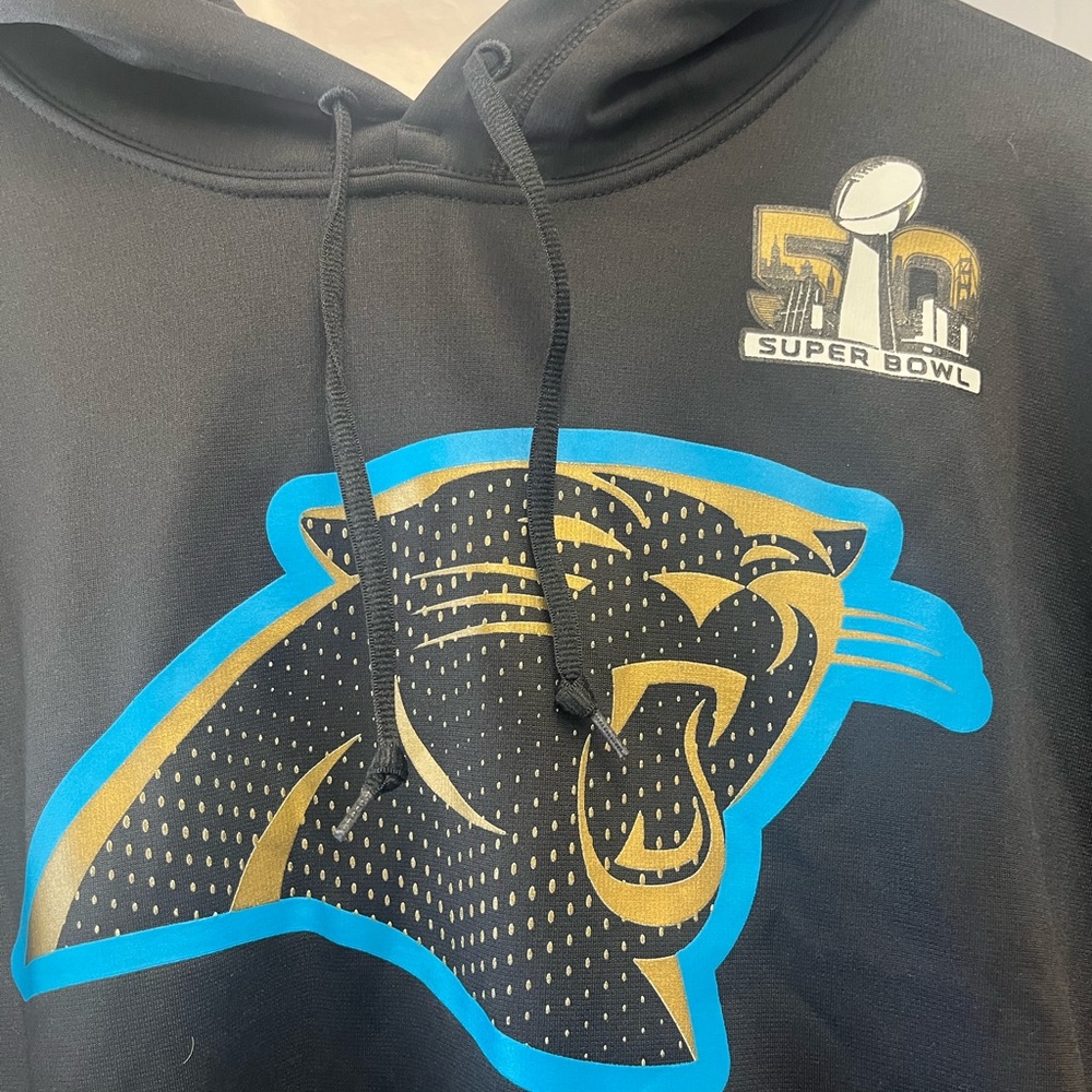 Panthers Nike thermafit hoodie